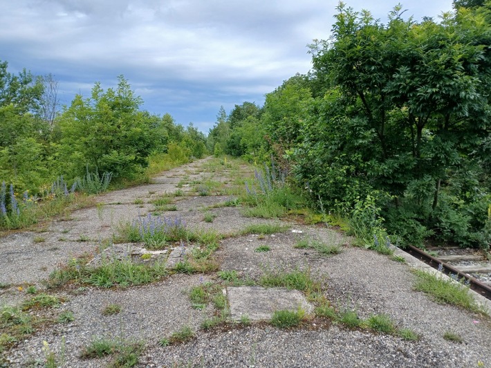 AFRY übernimmt Planungsarbeiten für Münchner Nordring AFRY übernimmt umfangreiche Planungsarbeiten für Münchner Nordring